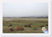 RMNP Mothers Day 2009 * (29 Slides)